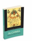 Alchimia. Maestrul si Marea Opera - ARCHIBALD COCKREN