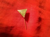 Insigna Romania Uniunea Transportatorilor , metal si email , h=1,2cm