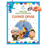 Disney bebe. Prima mea carte cu autocolante. Cuvinte opuse