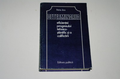 Determinarea eficientei progresului tehnico-stiintific si a calificarii - Petre Jica foto