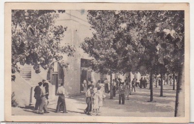 bnk cp Vasile Roaita - Clubul muncitoresc - necirculata - Libraria noastra foto