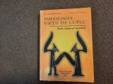 Iolanda Mitrofan - Psihologia vietii de cuplu. Intre iluzie si realitate