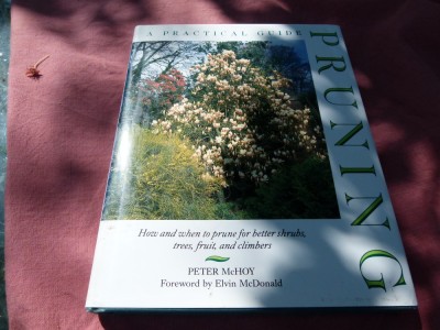 Pruning, engl. foto