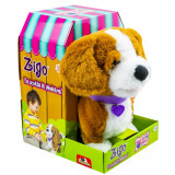 Catelusul Beagle - Zigo