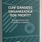 CUM GANDESC ORGANIZATIILE FOR PROFIT ? de DORIN BODEA , MANAGEMENTUL ETICII ,INCREDEREA , LOIALITATEA , 2023
