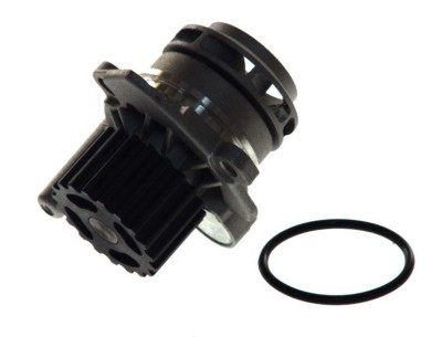 Pompa apa VW PASSAT (3B3) (2000 - 2005) THERMOTEC D1W039TT foto