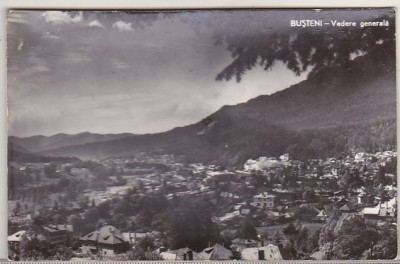 bnk cp Busteni - Vedere generala - necirculata foto