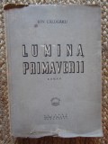 LUMINA PRIMAVERII-ION CALUGARU
