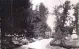 Gradina Publica Tg-Jiu (necirculata, anii 1930)
