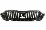 Grila Radiator Am Skoda Octavia 4 2020&rarr; Negru 5E3853653ZD4, General