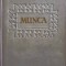 MUNCA-A. AVDEENKO-252376