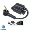 CDI original Piaggio Ape 50 (09-18) 2T AC 50cc