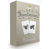 Asocieri. Animale |