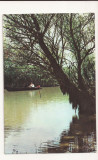 Carte Postala veche - Delta Dunarii - canalul Ceamurlia ,circulata