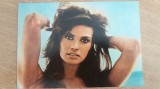 QW28 - Artisti straini 11 - Raquel Welch