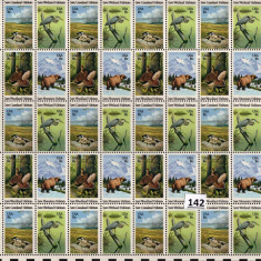 USA-FAUNA-URSI-PASARI-NATURA---Bloc cu 50 timbre de 18 centi MNH