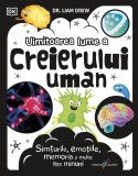 Cumpara ieftin Uimitoarea lume a creierului uman