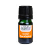 Ulei esential organic Eucalyptus (Eucalipt), 5 ml, Planteco