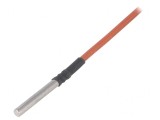 Senzor de Temperatura Pt100 100&Omega; Clasa B &Oslash;6x45mm