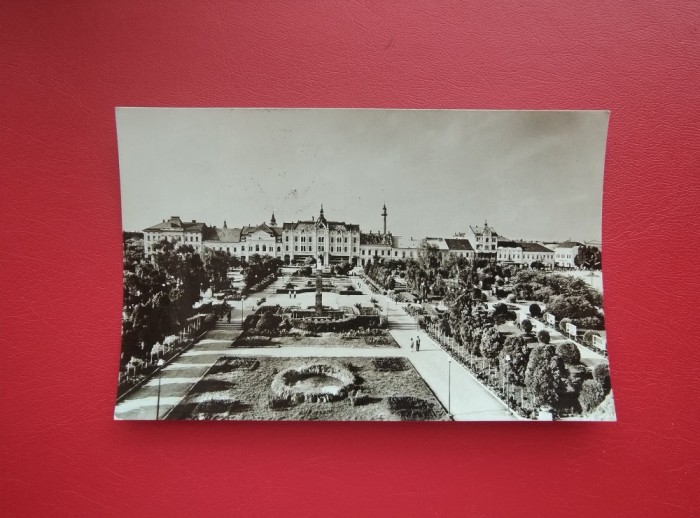 CARTE POSTALA - RSR - SATU MARE - PIATA LIBERTATII