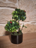 Bonsai decorativ cu flori rosii, in ghiveci ceramic, Negru - Verde, 20 cm