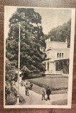 QW23 B - Carte postala - tematica turism - vedere - Romania - Baile Herculane 58 - 1955