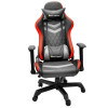 Scaun gaming Dakota egamers RGB, iluminare 300 efecte, cotiere reglabile 3D,