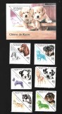 cuba caini mnh