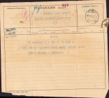 A1576 Telegramă &bdquo;Rom&acirc;nia Jună&rdquo; către Lucian Bolcaș, 1899