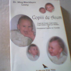 Dr. Meg Blackburn Losey - COPIII DE ACUM ( 2007 )