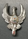 Insigna Specialist de clasa / Navigator de bord aviație clasa III