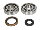Cumpara ieftin Lagare cu arbore cotit set cu garnituri pentru SUZUKI RM 250 1994-1995