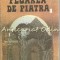 Floarea De Piatra - Radu Felix