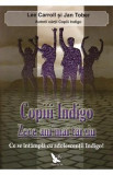 Copiii Indigo. Zece ani mai tarziu - Lee Carroll, Jan Tober