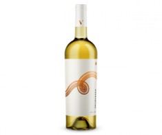 NEUBURGER ? SEC foto