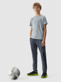 Pantaloni de sport cu uscare rapidă pentru băieți - gri, 4F Sportswear