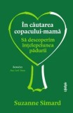 Cumpara ieftin In cautarea copacului-mama. Sa descoperim intelepciunea padurii/Suzanne Simard