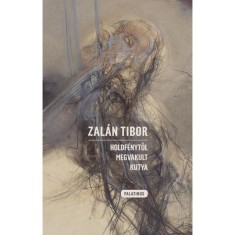 Holdf&eacute;nytől megvakult kutya - Zal&aacute;n Tibor
