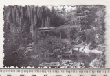 bnk foto Cluj Napoca - Gradina japoneza - anii `60