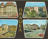 CPIB 16196 CARTE POSTALA - ORADEA. MOZAIC, Necirculata, Printata