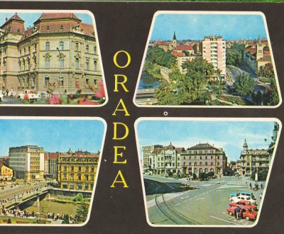CPIB 16196 CARTE POSTALA - ORADEA. MOZAIC foto