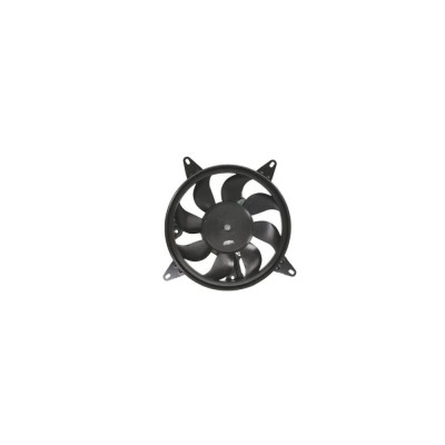 Ventilator Radiator Fiat Panda 141A Denso Der09290 foto