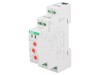 Timer DPDT 12V F&amp;F PCS-519-12V Analogic Montare Sina DIN