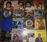 vinyl/vinil Beach Boys,Engelbert,Whitney Houston,Alison Moyet,Middle of Road