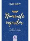 Numerele ingerilor - Kyle Gray