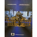 Gheorghi Ruscanu - Bancile in economia romaneasca (Editia: 1995)