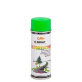 Cumpara ieftin Spray Vopsea Fluorescent 400ml Verde Champion Color