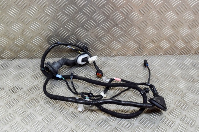 Cablaj ușă dreapta spate TESLA MODEL 3 2020 OEM: 3067966-00-A 15342907