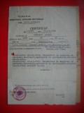 HOPCT DOCUMENT NR 560 MINISTERUL APARARII NATIONALE CERTIFICAT JANDARMI 1944 CONSTANTA SI 1996 PITESTI [ 2 FILE ]