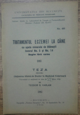 Tratamentul eczemei la caine cu apele minerale de Olanesti/ 1936 foto